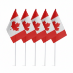 Canada National Flag Windsock